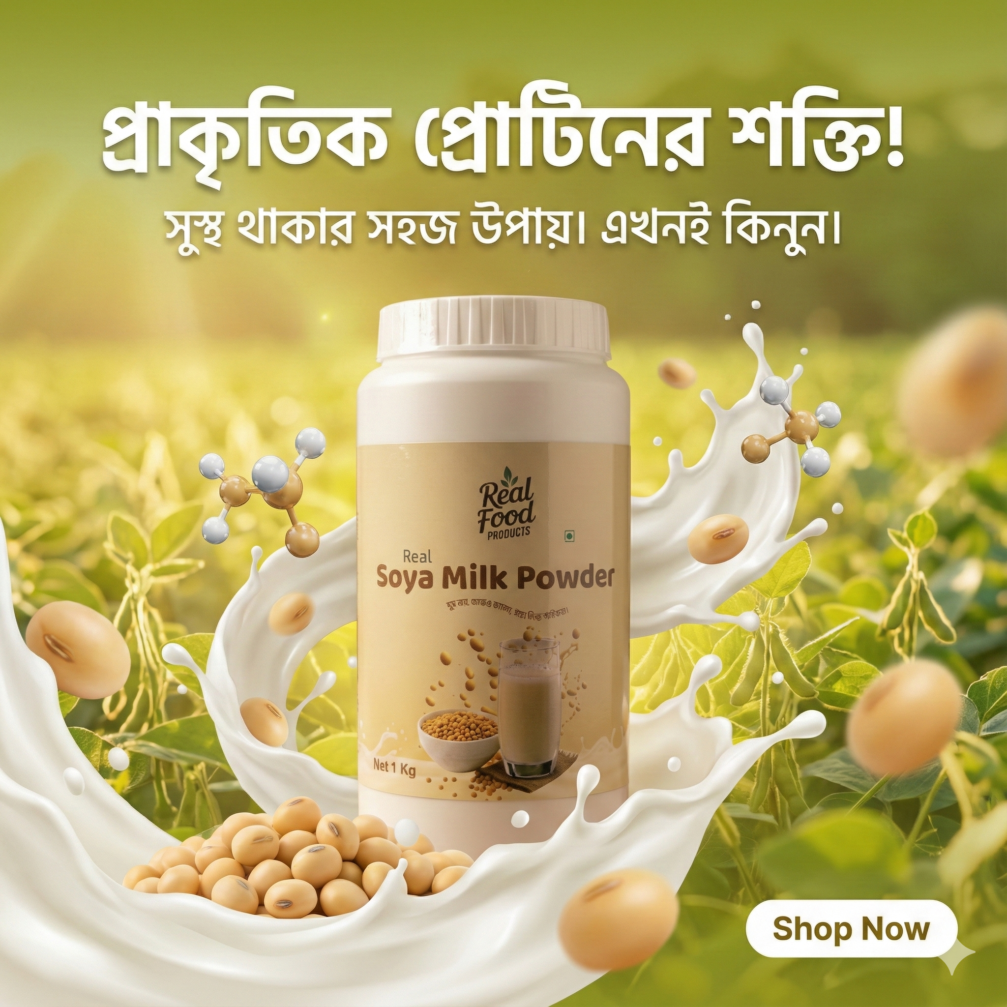Real Soya Milk Powder